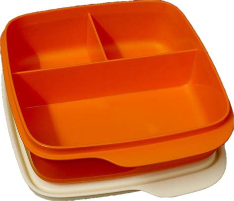 tupperware kids lunch stainless steel lunch box|tupperware lunch n things container.